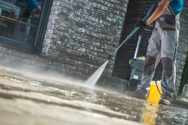 Best Fleet Vehicle Washing  in Pine Hills, FL