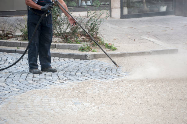 Best Driveway Pressure Washing  in Pine Hills, FL